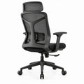 Ergonomische bureaustoel zwart met hoofdsteun en lendensteun, 65 x 65 x 116-126 cm